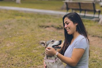 pet friendly apartments